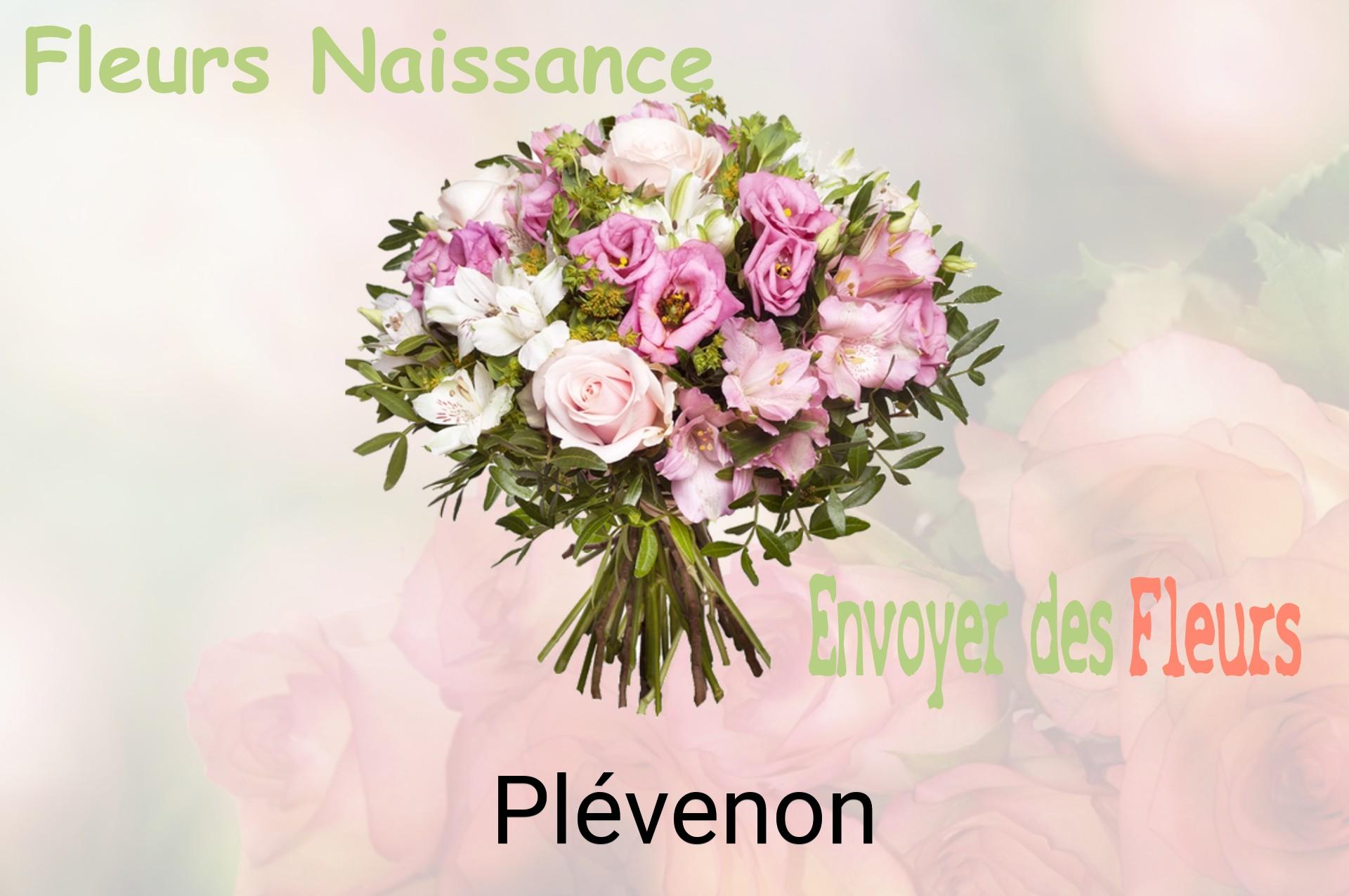 Bouquet de fleurs de naissance livré à Plévenon